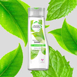 Herbal Essences Daily Detox Shine Shampoo | White Tea & Mint