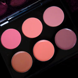 Pspro Blush Ad Highlight Palette