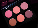 Pspro Blush Ad Highlight Palette