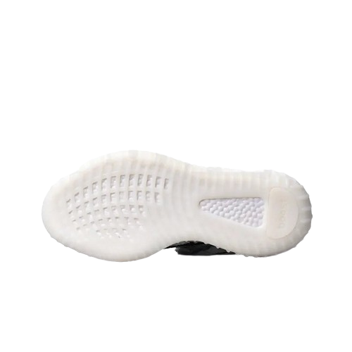YZ V2- ZEBRA