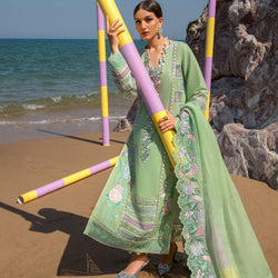 Bohemian Summer - D7 B