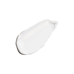 The Ordinary Natural Moisturizing Factors + HA 30ml - choicemall